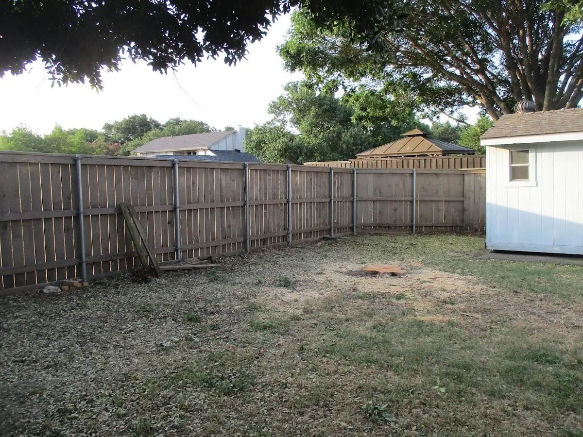 Cleared yard after professional tree removal in Perryville